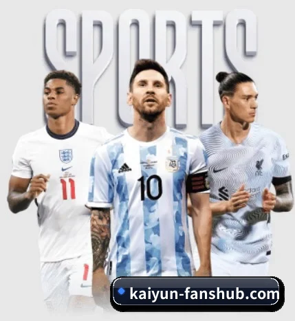 五大服务分区,信息按项目分类(Kaiyun FIFA WorldCup)