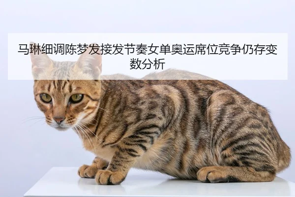 马琳细调陈梦发接发节奏女单奥运席位竞争仍存变数分析